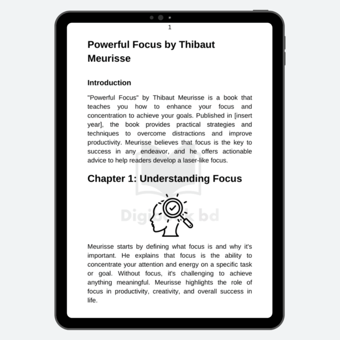 Powerful Focus Thibaut Meurisse Summary eBook